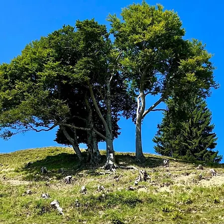 Apartman Thanner Ofterschwang